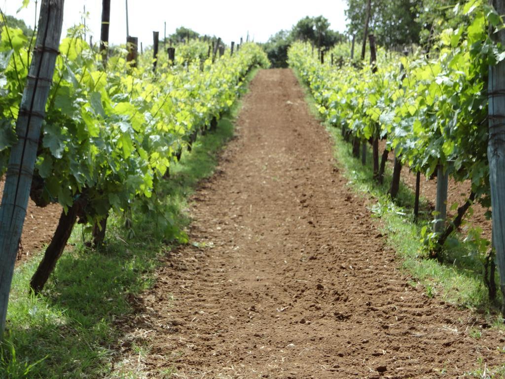 Casale Santioro B And B Canale Monterano Exterior photo